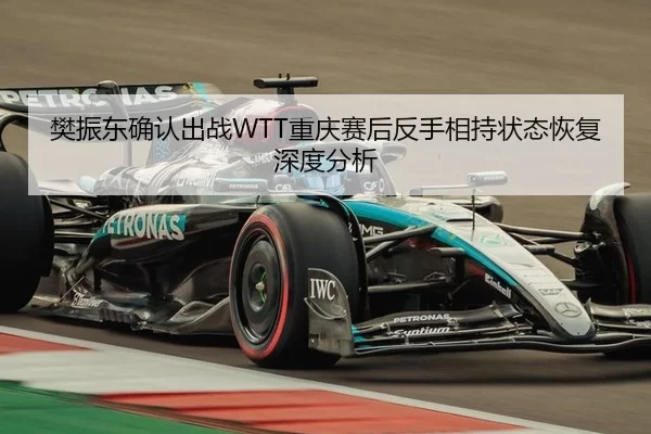 樊振东确认出战WTT重庆赛后反手相持状态恢复深度分析