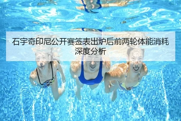 shi-yu-qi-yin-ni-gong-kai-sai-qian-biao-chu-lu-hou-qian-liang-lun-ti-neng-xiao-hao-shen-du-fen-xi-2-711.jpg